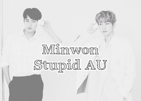 Minwon Stupid AU