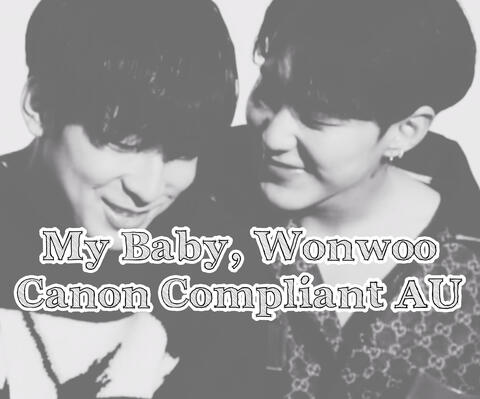 Soonwoo My Baby Wonwoo Canon Compliant AU