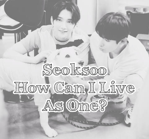 Seoksoo How Can I Live As One Soulmate AU Fic